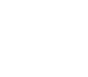 Project Garage